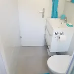 Ivka فيلة
